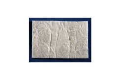 Symbios OsteoShield Collagen Resorbable Membrane