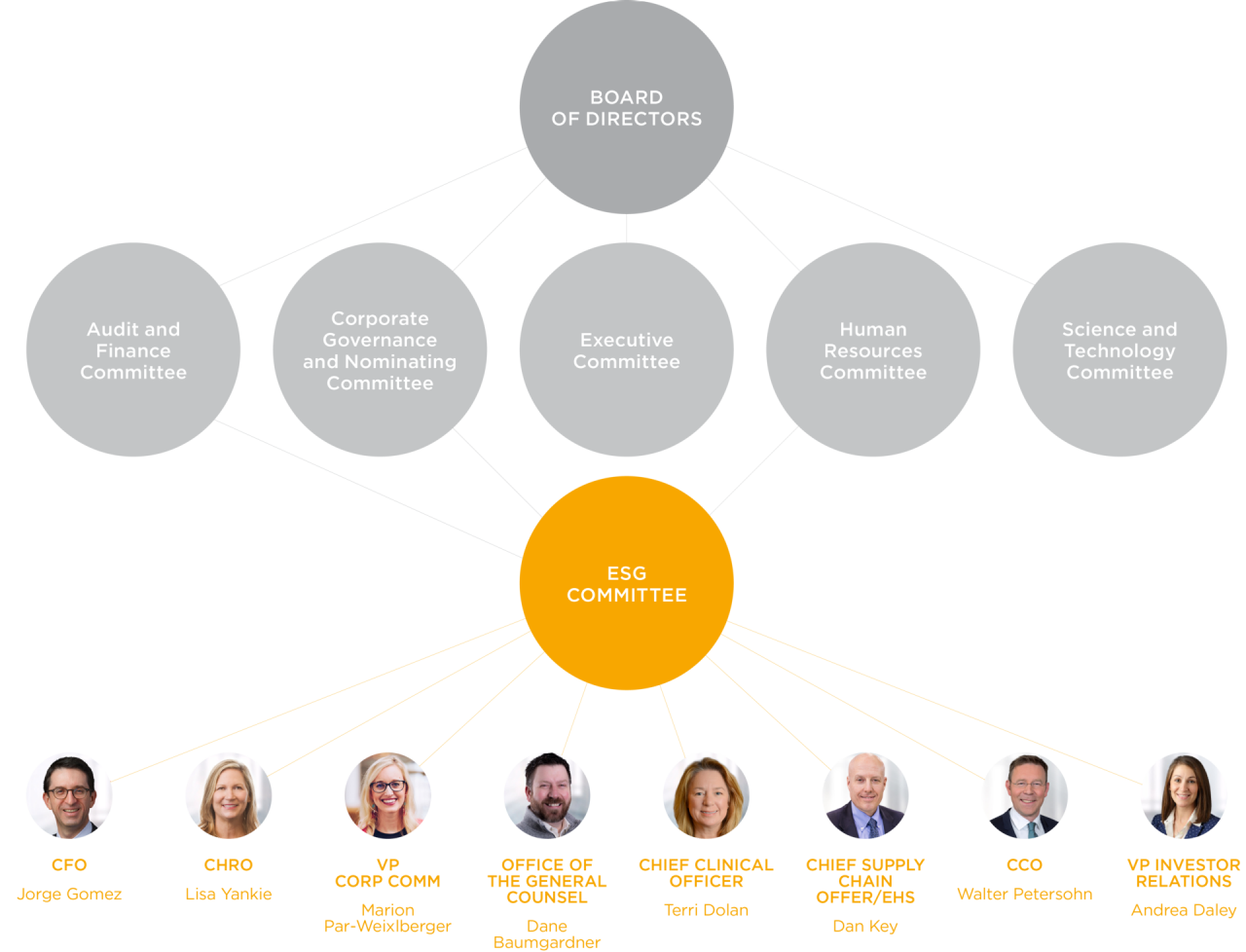 Organizational Chart of ESG comittee